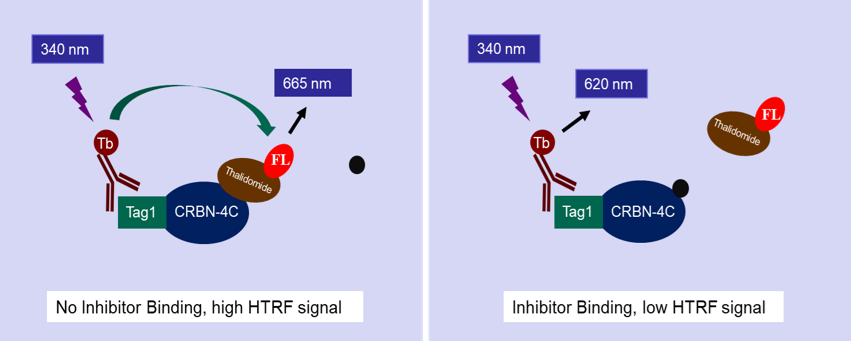 cereblonassaymechcartoon