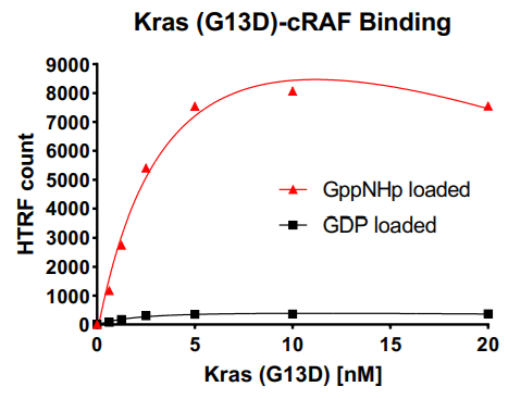 Kras G13D– cRAF Binding Assay Kit Kras G13D– cRAF Binding Assay Kit
