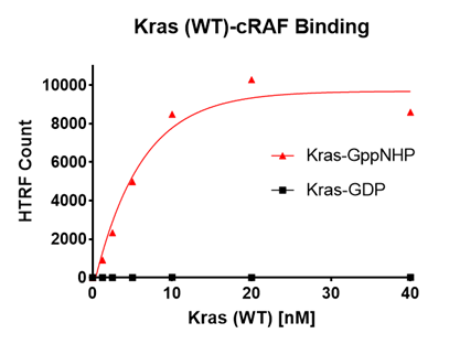 Kras WT – cRAF Binding Assay Kit Kras WT – cRAF Binding Assay Kit