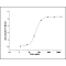Mouse TIGIT / VSTM3 Protein (ECD, His Tag)