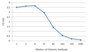 Anti-double stranded DNA mouse-human chimeric IgG antibody Anti-double stranded DNA mouse-human chimeric IgG antibody