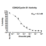 CDK2/CyclinE1 Kinase Assay Kit