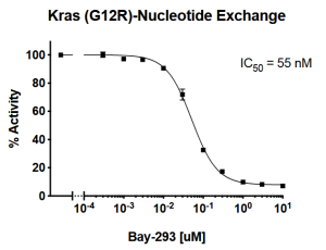 Kras G12R Nucleotide Exchange Assay Kit 