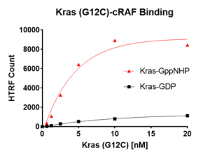 Kras G12C – cRAF Binding Assay Kit