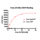 Kras G12D– cRAF Binding Assay Kit 