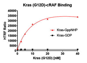 Kras G12D– cRAF Binding Assay Kit 