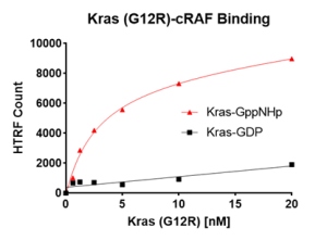 Kras G12R – cRAF Binding Assay Kit 