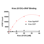 Kras G12V – cRAF Binding Assay Kit 
