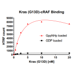 Kras G13D– cRAF Binding Assay Kit 