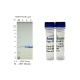 Kras Wild Type (WT), GST-tag  