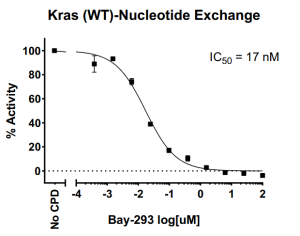 Kras WT Nucleotide Exchange Assay Kit 