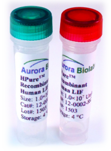 Recombinant Human LIF Protein-Animal Free-Lyophilized Recombinant Human LIF Protein-Animal Free-Lyophilized