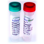 Recombinant Human LIF, Animal-Free 