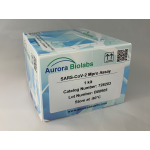 SARS-CoV-2 Mpro (3CL Protease) Assay Kit 