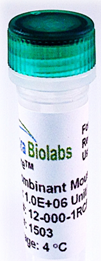 Recombinant Mouse LIF-Carrier-Ready-to-Use