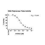 DNA Polymerase Theta Activity Assay Kit 