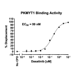 PKMYT1 Binding Assay Kit  